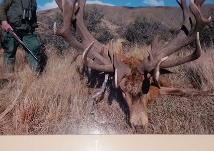 غموض يحيط بوفاة صياد قتل كل ما يمكن اصطياده