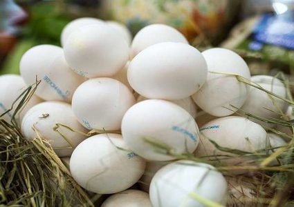 الأردن تعفي البيض وزيت الزيتون والدجاج المجمد من الضريبة