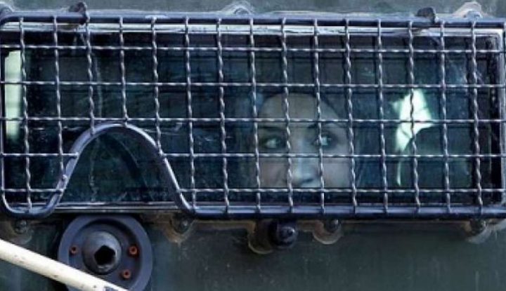 الفتاة حمايل تخضع للتحقيق في سجن عسقلان