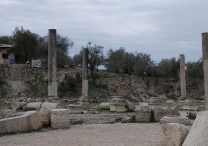 مستوطنون يقتحمون منطقة المسعودية الأثرية