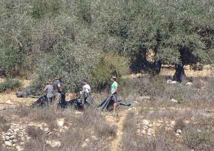 مستوطنون يعتدون على مزارعين شمال الخليل