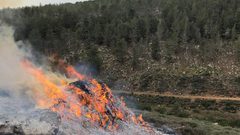 السيطرة على حريق شب في أشجار حرجية جنوب جنين