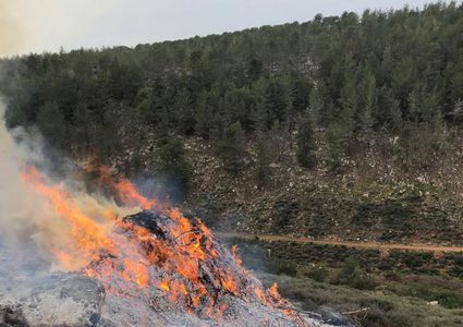 السيطرة على حريق شب في أشجار حرجية جنوب جنين