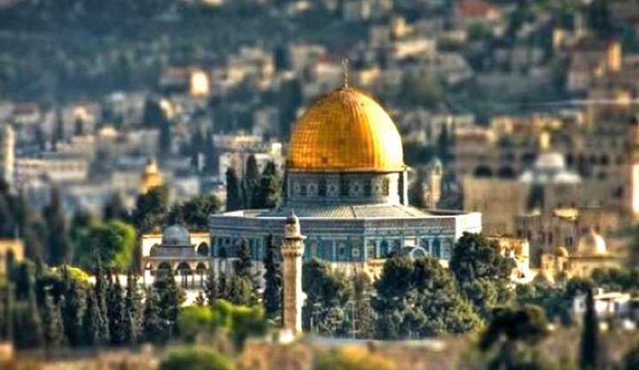 أطفال تونس للعالم: لا سلام دون القدس عاصمة لفلسطين