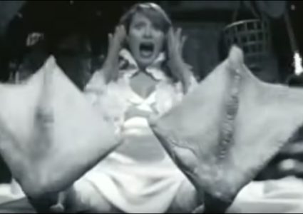 فيديو| ميلانيا ترامب تحوّلت لبطّة عام 2005!