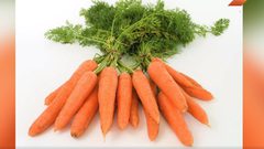 فوائد مذهلة للجزر (فيديو)