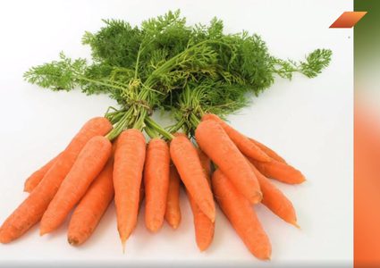 فوائد مذهلة للجزر (فيديو)