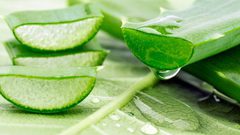 الألوفيرا ونتائج مذهلة بعد وضعها على البشرة