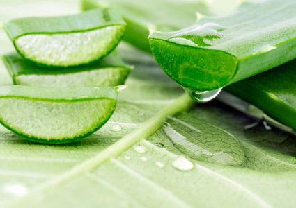 الألوفيرا ونتائج مذهلة بعد وضعها على البشرة