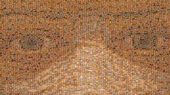 معرض "دلالة الوجه: فن البورتريه"