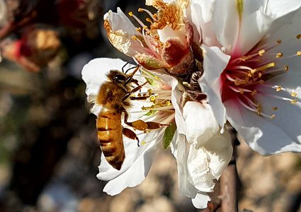 إرتفاع في درجات الحرارة... ما حال طقس الاثنين ونهاية الأسبوع؟