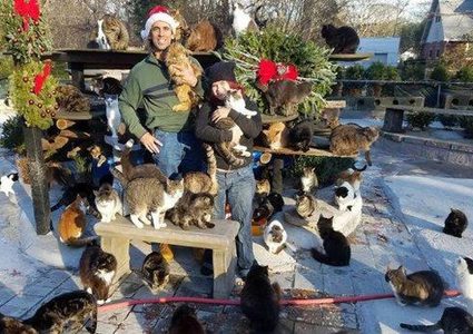 رجل حوّل منزله إلى مأوى لـ300 قطة