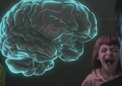 اكتشاف الخلايا المسؤولة عن الخوف والقلق