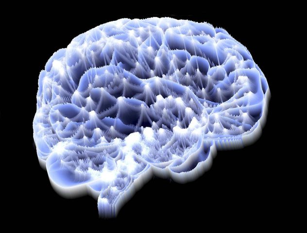 ما هي فائدة الشحنات الكهربائية للدماغ؟