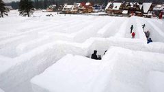 تجربة علمية لمدى "تحمل البشر" للصقيع