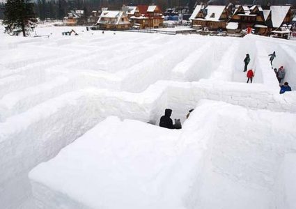 تجربة علمية لمدى "تحمل البشر" للصقيع