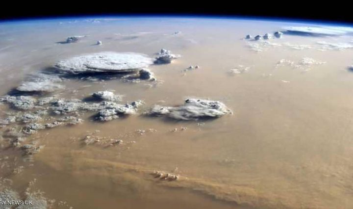 الأمطار "تعيد" ملايين الفيروسات إلى الأرض