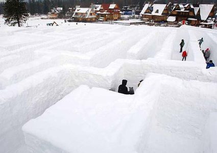 تجربة علمية لمدى "تحمل البشر" للصقيع