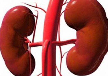 مشروب ينصح به الأطباء.. يغسل الكلى ويطهر الجسم من السموم