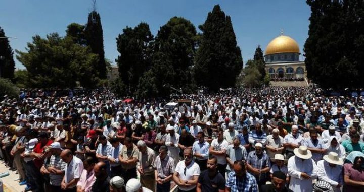 أكثر من 50 ألفا يؤدون صلاة الجمعة في رحاب الأقصى