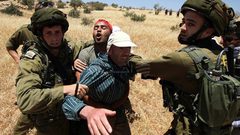 الاحتلال يعتدي بالضرب المبرح على ثلاثة عمال من بيت لحم