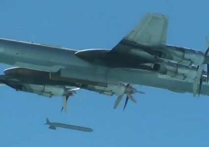 الدب الطائر خاطفة الأنفاس