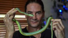 خمسيني أمريكي : سم الثعابين سر الشباب الدائم