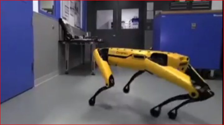 لقطة لروبوتين من غوغل تذهل الجميع