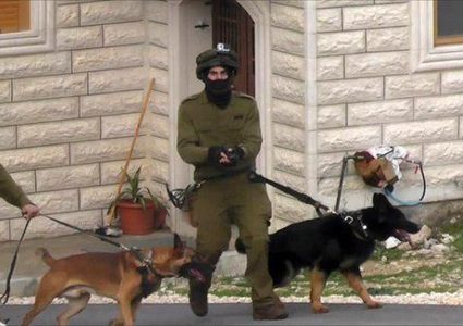 تحذير من استخدام الكلاب البوليسية في تفتيش الاسرى