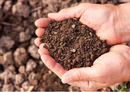 في التراب .... إكتشاف مضاد حيوي جديد !