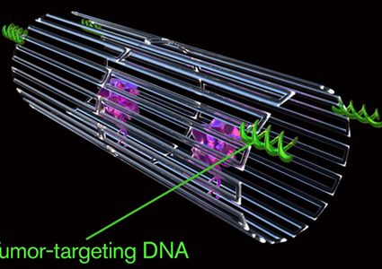 ابتكار روبوتات نانوية تدمر الخلايا السرطانية
