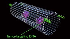 ابتكار روبوتات نانوية تدمر الخلايا السرطانية