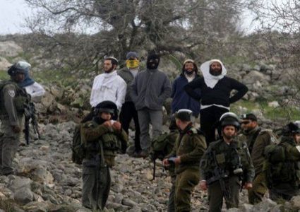 الإفراج عن معتقلين من الخليل بعد شجار مع مستوطنين اليوم