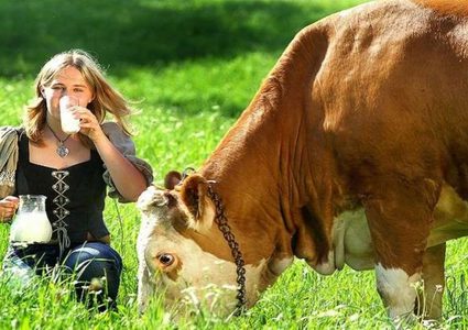 للحليب فوائد ولكن له أضرار أيضا..فما هي؟