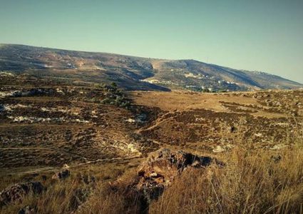 تحويل أراضٍ زراعية الى وحدات استيطانية وشق طريق