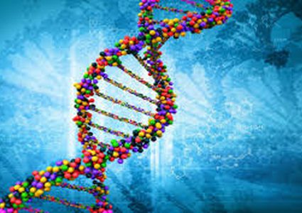 دراسة : الجينات تظل نشطة بعد وفاة الإنسان