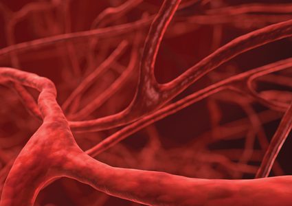 اكتشاف طريقة لحماية الأوعية الدموية من التصلب