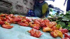 "أخطر" آيس كريم في العالم ما هو ؟