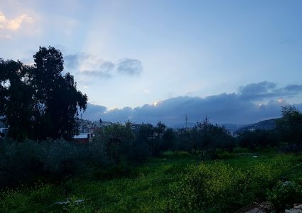 الطقس: درجات الحرارة أعلى من معدلها السنوي بحدود درجتين