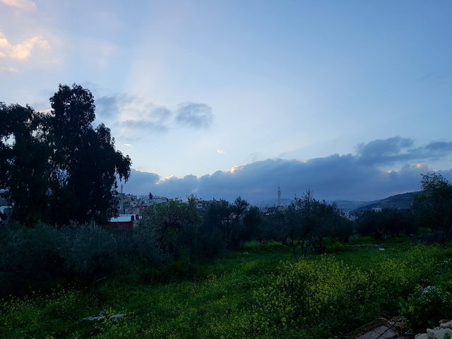 الطقس: درجات الحرارة أعلى من معدلها السنوي بحدود درجتين