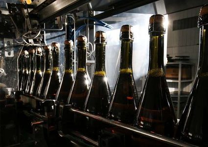 تأثير الكحول يؤخر نمو العظام