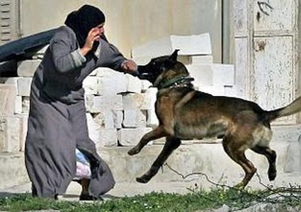 بيتسيلم: الاحتلال يتصرف بوحشية باستخدامه الكلاب لمهاجمة المدنيين الفلسطينين (صور)