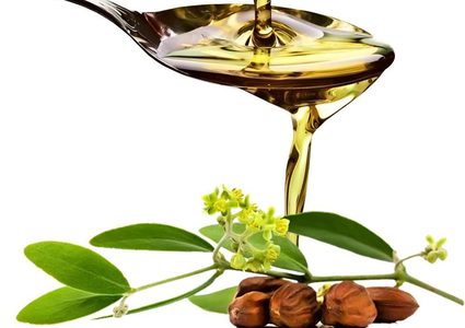 زيت الجوجوبا لجمال الشعر والبشرة