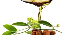 زيت الجوجوبا لجمال الشعر والبشرة