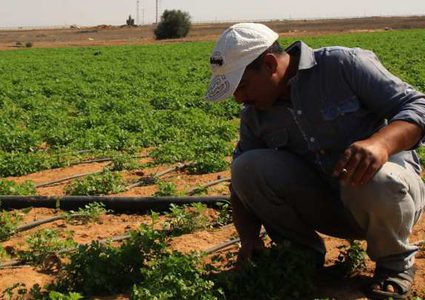 اللجنة العليا لبرنامج المساعدات الزراعية تقرّ تنفيذ 133 مشروعاً بتمويل من الاتحاد الأوروبي