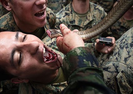تدريبات عسكرية قاسية لجنود أمريكيين يشربون دم الثعابين!
