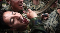 تدريبات عسكرية قاسية لجنود أمريكيين يشربون دم الثعابين!