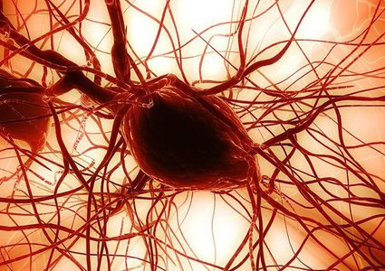 آلية علاج جديدة لإصلاح أنسجة المخ التالفة!