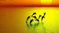 صباحك يابلد 20_2_2018