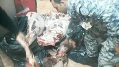 ضبط لحوم غير صالحة للإستهلاك الأدمي (صور)